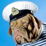 Глутамат Натрия