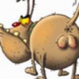 Евгений Инкубус