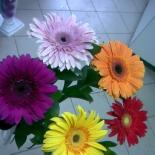 луиза искужина