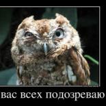 Надежда Бессмертная