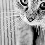 Марина Ефименко