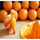 Денис Нестеренко