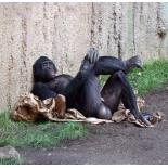 Александр Гусейнов