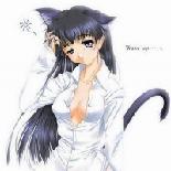 Светлана Чеха