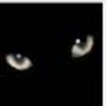 Светлана Русская