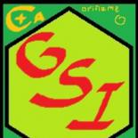 Группа GSI в компании oriflame